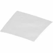 Genuine Eureka Electrolux EL4300A Secondary Motor Filter - 1 Pack