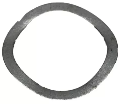 Kirby Sentria Spring Washer