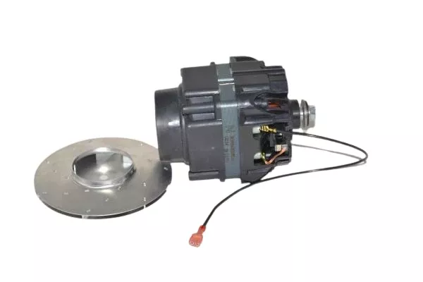 ProTeam ProGuard 4 Motor#509776-19